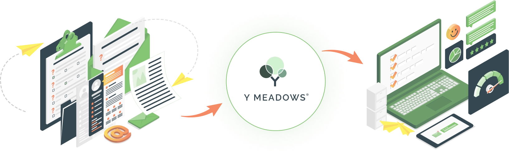 Y Meadows Hero Image